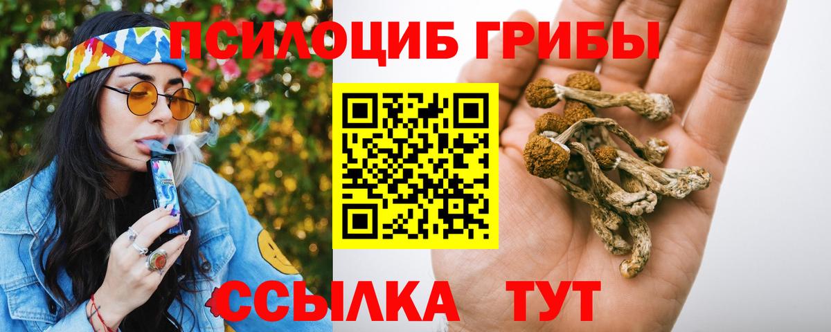 Галлюциногенные грибы мицелий  Вход с VPN  как найти наркотики  Выборг 